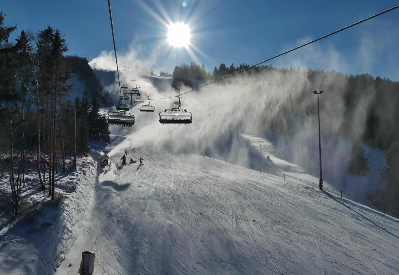 Quartier12 "Ski In & Bike Out" - Fewo Berg Willingen  Εξωτερικό φωτογραφία